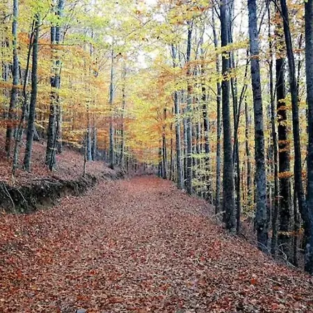 펜션 Casa De Ferias