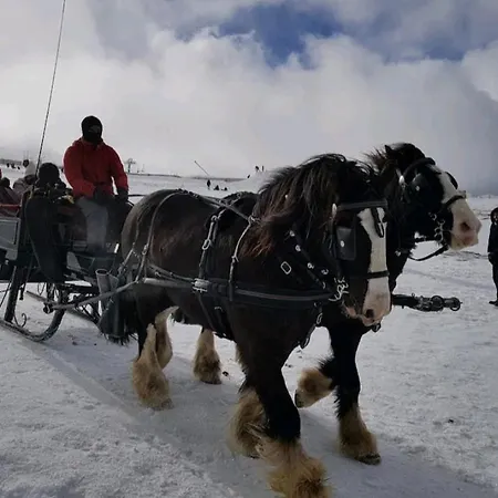 Casa De Ferias بيت للعطل *