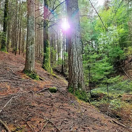 펜션 Casa De Ferias Ferro (Covilha)