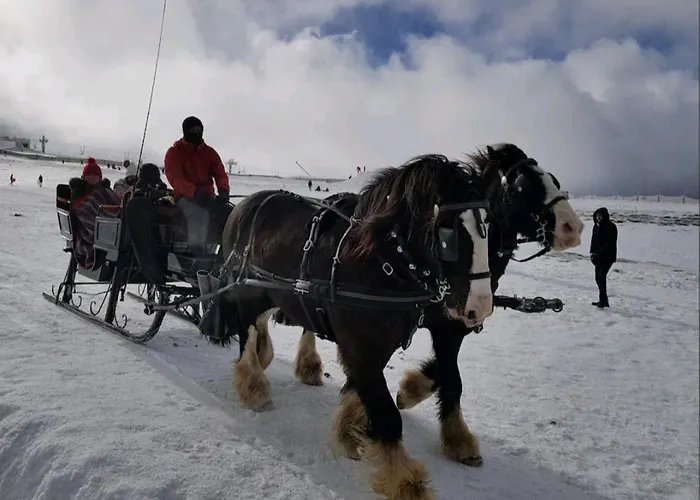 Casa De Ferias בית נופש *