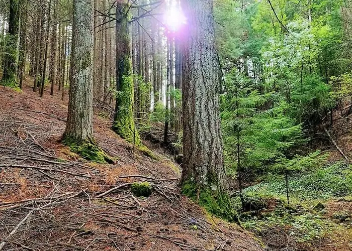 בית נופש Casa De Ferias Ferro (Covilha)